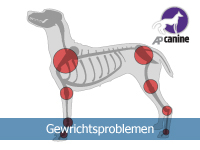 Gewrichtsproblemen