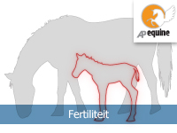 Fertiliteit
