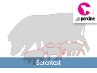 Berentest