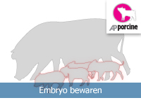 Embryo bewaren
